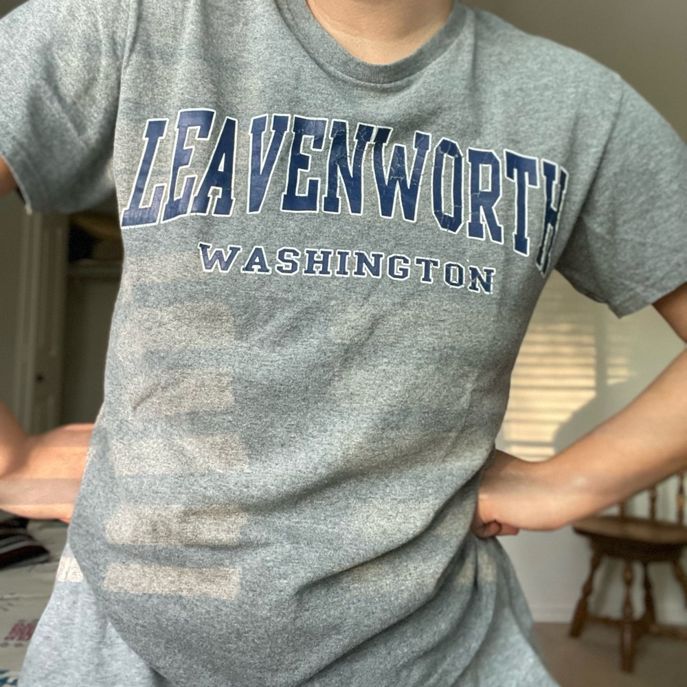 Delta Pro Weight Leavenworth Washington Gray T-Shirt